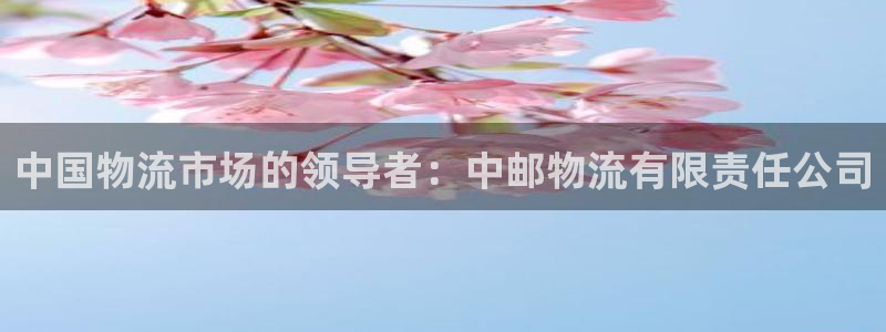 28圈