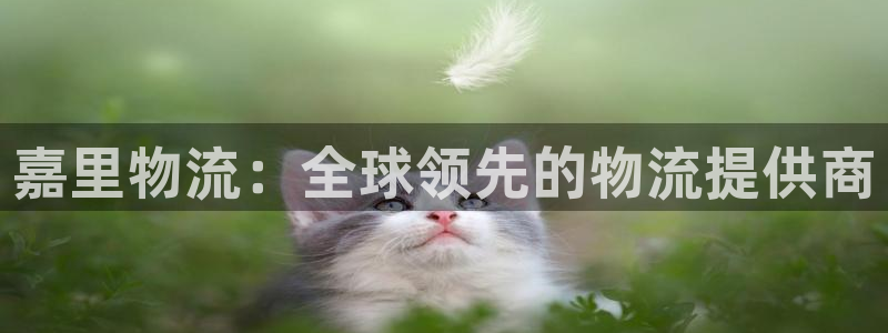 28圈大舞台：嘉里物流：全球领先的物
