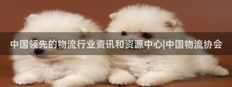 28圈注册链接教程：中国领先的物流行