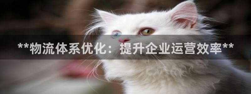 28圈app怎么注销