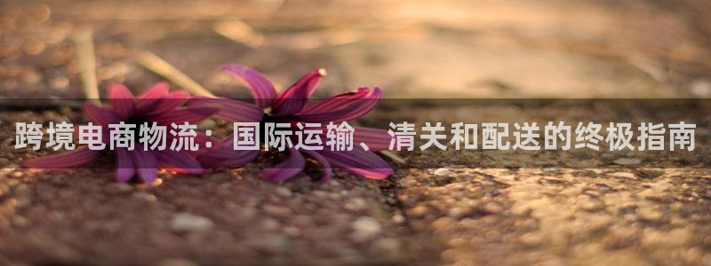28圈图片