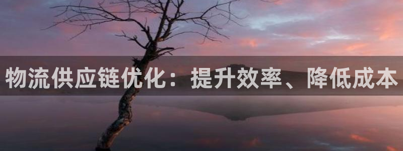 28圈模拟器在线玩：物流供应链优化：