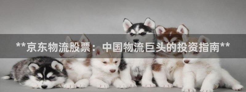 28圈初始资金密码在哪里改
