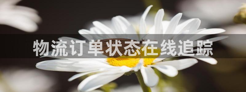 28圈是啥