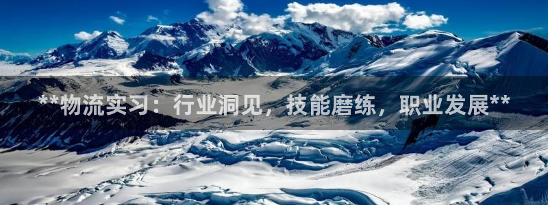 28圈账号注册：**物流实习：行业洞
