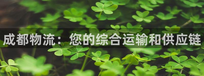 28圈娱乐官网网页入口