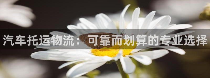 28圈加拿大在线预测
