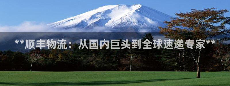 28圈登录流程：**顺丰物流：从国内