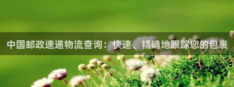 28圈注册网页：中国邮政速递物流查询