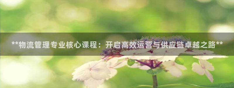 28圈麻将胡了在线试玩