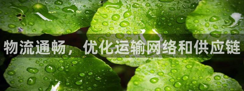 28圈退款教程：物流通畅，优化运输网