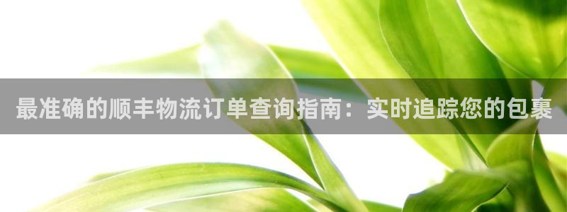 28圈.ccmpc预测