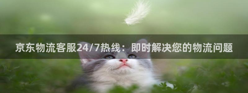 28圈下载二维码