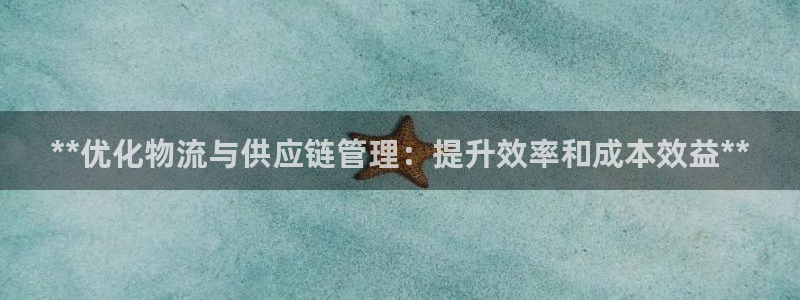 28圈平台注册：**优化物流与供应链