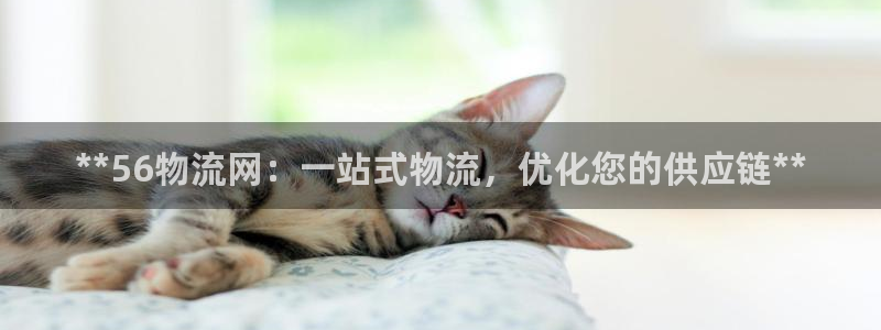 28圈充值不处理
