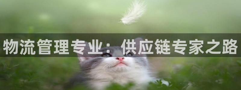 28圈在线预测官网：物流管理专业：供