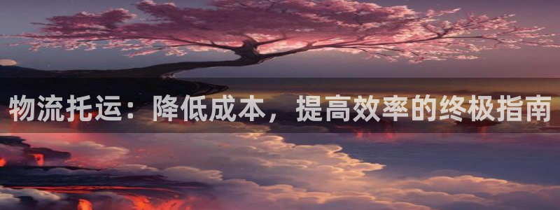 28圈新用户怎么注册：物流托运：降低