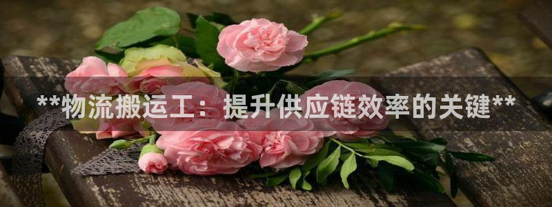 28圈注册限制怎么解除：**物流搬运