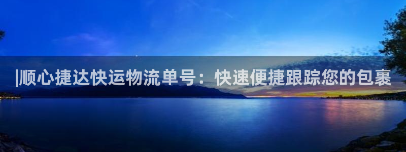28圈是干嘛的：|顺心捷达快运物流单