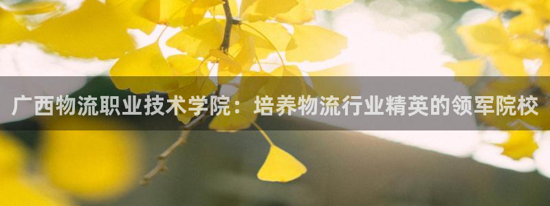 28圈黑款