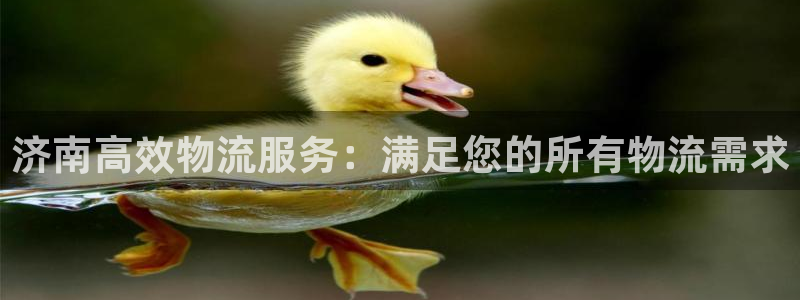 28圈反水：济南高效物流服务：满足您