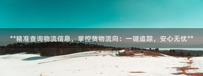 28圈充值不到账：**精准查询物流信