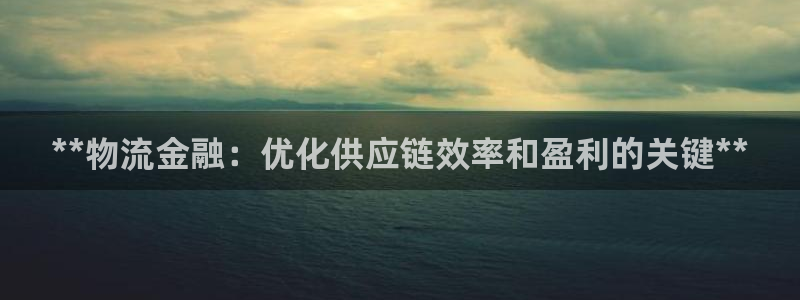 28圈注册号：**物流金融：优化供应