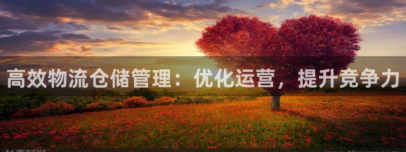 28圈注册流程：高效物流仓储管理：优