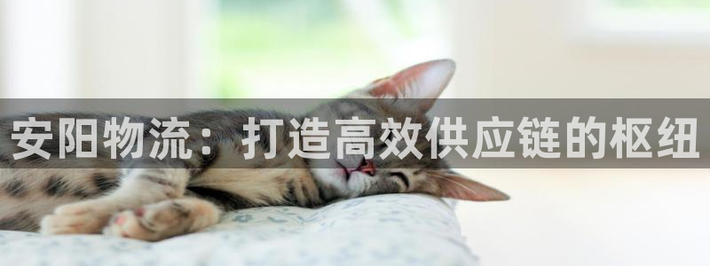 28圈昵称