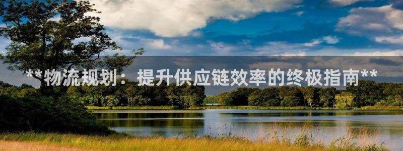 28圈麻将胡了：**物流规划：提升供
