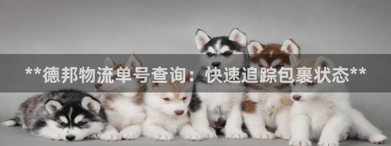 28圈加拿大技巧