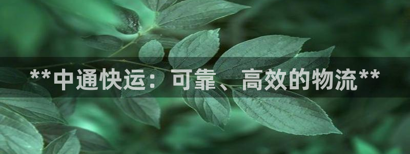 28圈登陆网：**中通快运：可靠、高