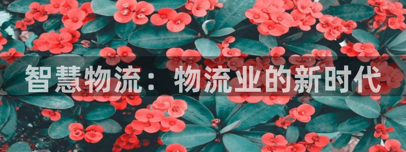 28圈模拟器在线使用