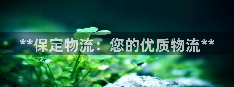 28圈注册登录：**保定物流：您的优