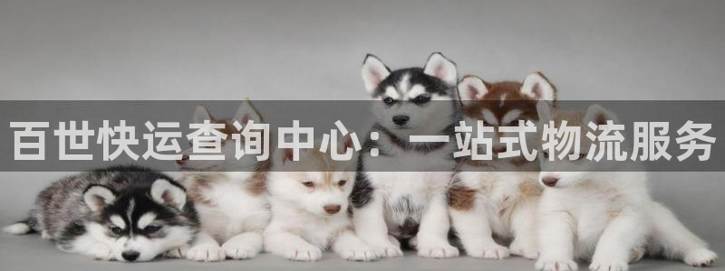 28圈可靠吗：百世快运查询中心：一站