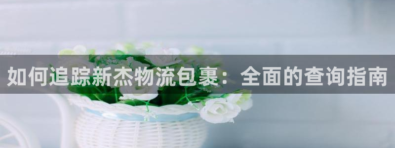 28圈入口问一问