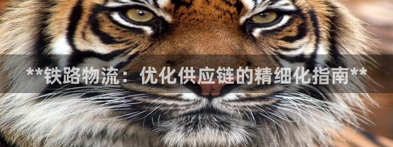 28圈官网版所有版本
