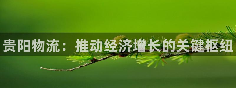 28圈加拿大在线预测