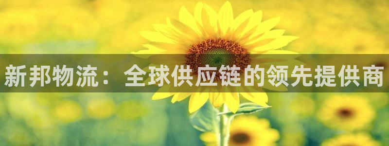 28圈链官网