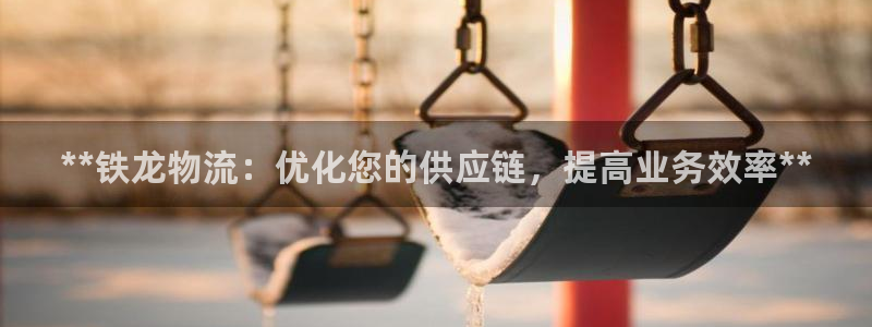 28圈注册链接：**铁龙物流：优化您