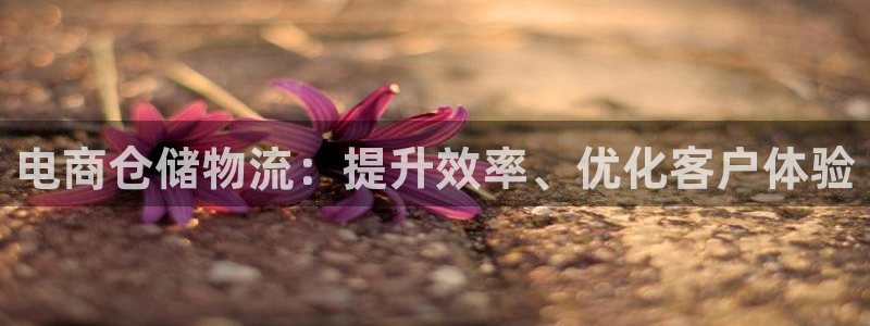 28圈v6能卖多少