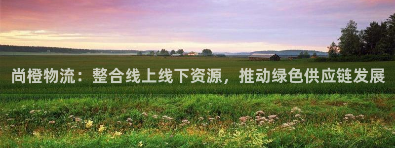 28圈app注册地址：尚橙物流：整合