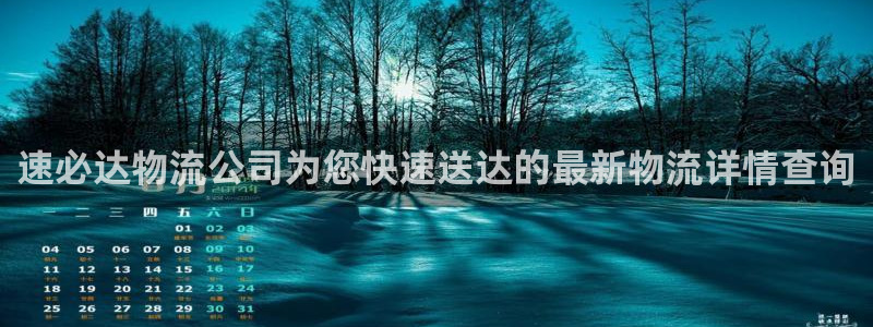 28圈分分28预测：速必达物流公司为