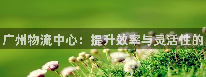 28圈p扣除