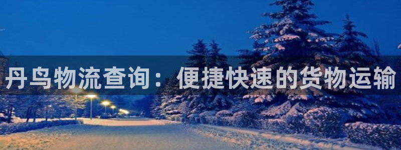 28圈ccm官网版