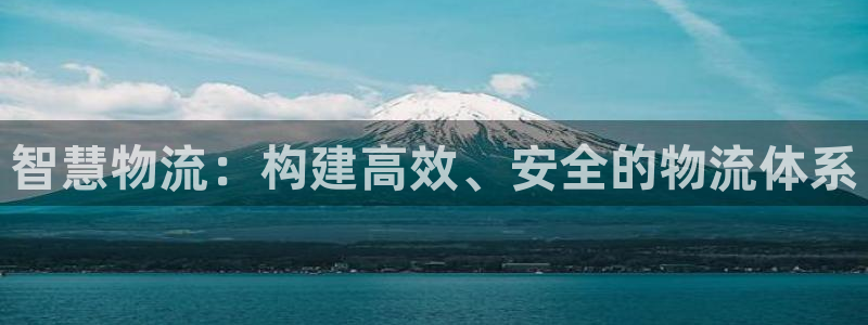 28圈比特28真实吗：智慧物流：构建