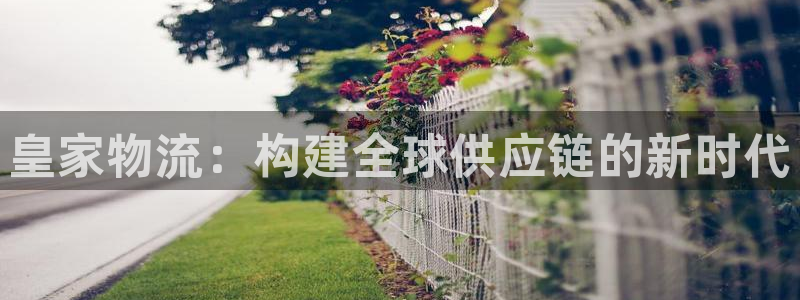 28圈充值不到账：皇家物流：构建全球