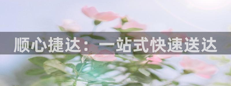 28圈注册网页版：顺心捷达：一站式快
