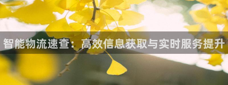 28圈p扣除