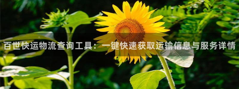 28圈官网开奖结果预测查询：百世快运